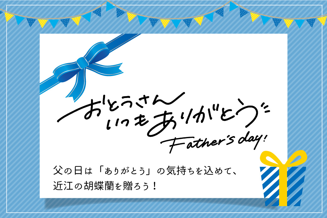 父の日は「ありがとう」の気持ちを込めて、近江の胡蝶蘭を贈ろう！
